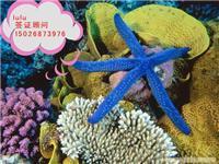 韩亚旅游信息咨询 印度签证材料简化、陆路代办价格与票务代售服务详解