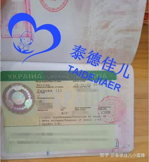 乌克兰签证办理指南 试管医疗签证、落地签政策与代办服务解析