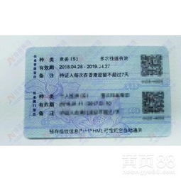 深圳 现代都市与多元体验的完美融合